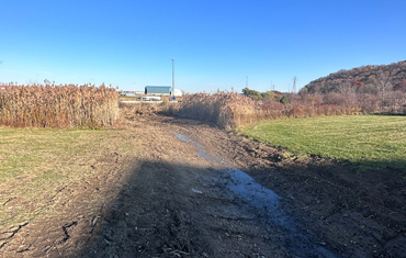 Dynamic Excavating Septic backhoe back hoe Maintenance Drainage septic installs