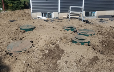 hessels dunnville, grain, seed