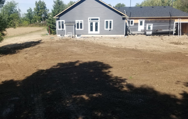 hessels dunnville, grain, seed