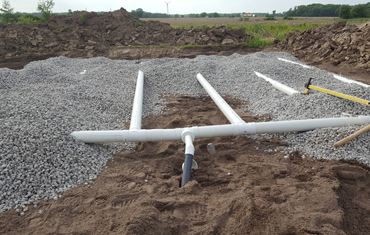 hessels dunnville, grain, seed